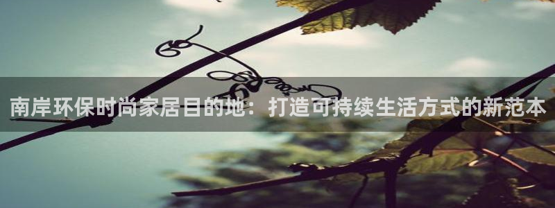 usdt中文版
