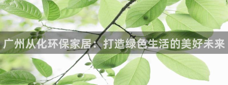 Usdt的钱包主页图片