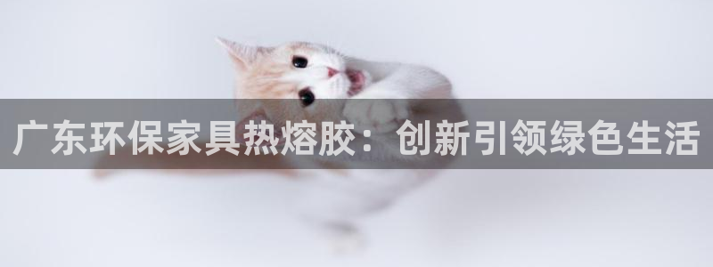 usdt交易所app